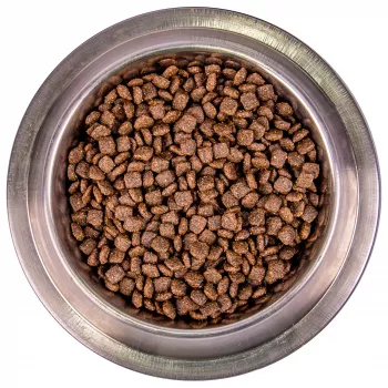 Monge Dog Monoprotein Mini корм для взрослых собак мелких пород лосось с рисом 7,5 кг