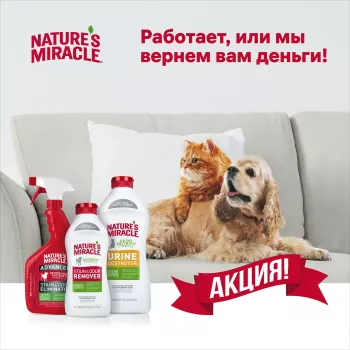 Уничтожитель пятен и запахов от кошек Nature's Miracle Advanced с усиленной формулой, спрей 946 мл