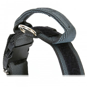 JULIUS-K9 ошейник для собак Color & Gray (38-53см/4см), с закрытой ручкой, черно-серый