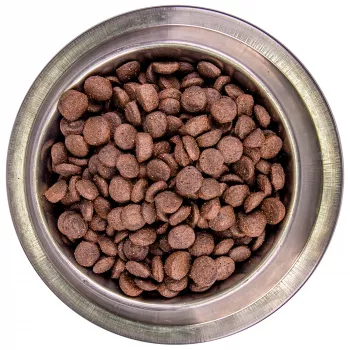 Monge Dog BWild GRAIN FREE беззерновой корм из мяса ягненка с картофелем для взрослых собак всех пород 12 кг