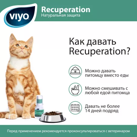 VIYO Recuperation для кошек, 150 мл