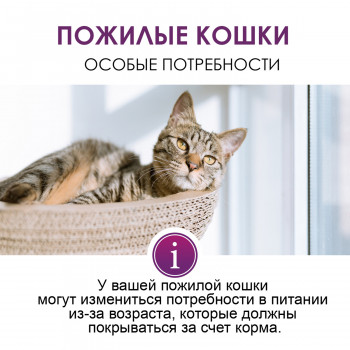 GIMCAT EXPERT LINE Паста для пожилых кошек Сеньор 50 г