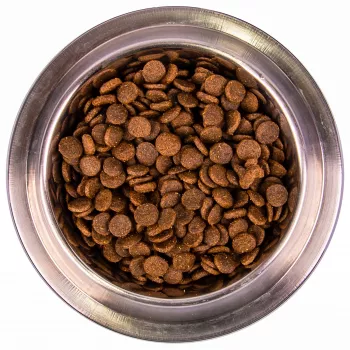 Monge Dog Medium корм для щенков средних пород 3 кг