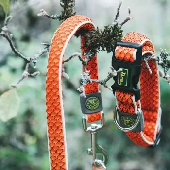Hunter ошейник для собак Hilo Vario Basic 33-50 см, сетчатый текстиль, оранжевый