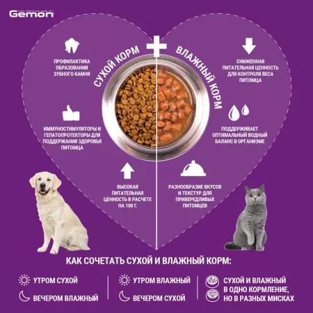 Gemon Cat консервы для кошек паштет говядина 400г