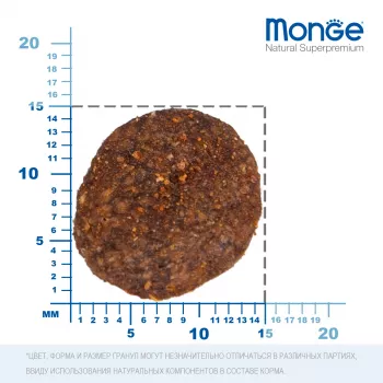 Monge Dog BWild LOW GRAIN низкозерновой корм из мяса гуся для взрослых собак всех пород 12 кг