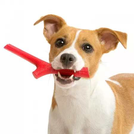 BAMA PET игрушка для собак палочка TUTTO MIO 16см, резиновая, цвета в ассортименте