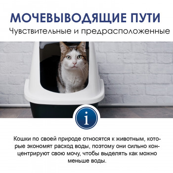 GIMCAT EXPERT LINE Паста для кошек Уринари 50 г