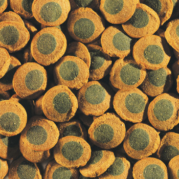 TetraPleco Spirulina Wafers корм для сомов крупные чипсы 3,6 л
