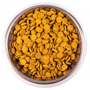 Monge Cat Monoprotein Sterilised корм с уткой для стерилизованных кошек 10 кг