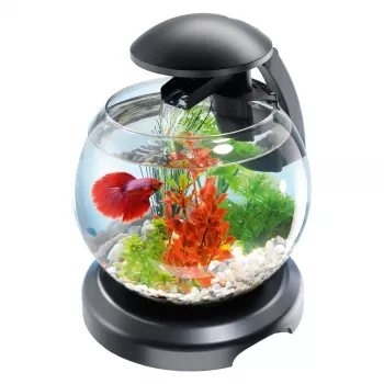 Tetra Cascade Globe аквариумный комплекс черный 6,8 л