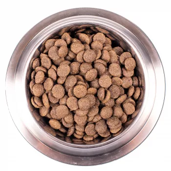 Monge Dog Monoprotein корм для собак всех пород ягненок с рисом и картофелем 2,5 кг