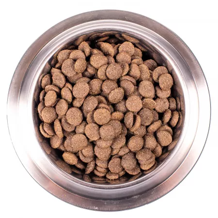 Monge Dog Monoprotein корм для собак всех пород ягненок с рисом и картофелем 2,5 кг