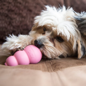 Игрушка KONG Classic Puppy для щенков мелких пород, размер S, 7x4 см, цвета в ассортименте: розовый, голубой