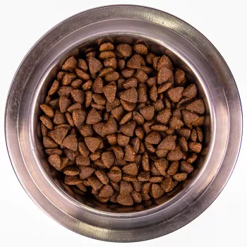 Monge Dog Speciality Active корм для активных собак с курицей 12 кг