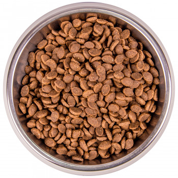 Monge Cat BWild LOW GRAIN низкозерновой корм из анчоуса для взрослых кошек 1,5 кг