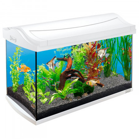 Tetra AquaArt LED Tropical аквариумный комплекс 60 л, белый