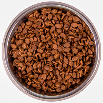 Monge Cat BWild LOW GRAIN низкозерновой корм из мяса зайца для взрослых кошек 1,5 кг
