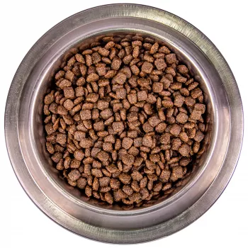Monge Dog Monoprotein Mini корм для взрослых собак мелких пород лосось с рисом 2,5 кг