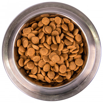 Monge Dog Monoprotein корм для собак всех пород свинина с рисом и картофелем 12 кг