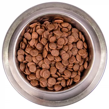 Monge Dog BWild LOW GRAIN низкозерновой корм из мяса гуся для взрослых собак всех пород 2,5 кг