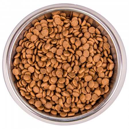 Monge Cat Monoprotein корм для котят с форелью 400г