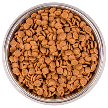 Monge Cat BWild LOW GRAIN Kitten низкозерновой корм из мяса гуся для котят 1,5 кг