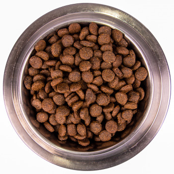 Monge Dog Monoprotein корм для собак всех пород форель с рисом и картофелем 12 кг