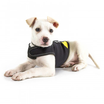 JULIUS-K9 жилет для собак Neoprene IDC® XS (43-53см / длина 33см), черно-желтый