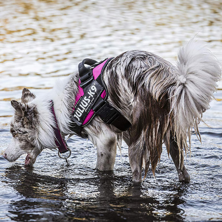 JULIUS-K9 шлейка для собак IDC®-Powerharness 0 (58-76см/ 14-25кг), темно-розовый