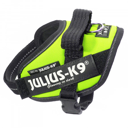 JULIUS-K9 шлейка для собак IDC®-Powerharness Mini (49-67см/ 7-15кг), зеленый неон