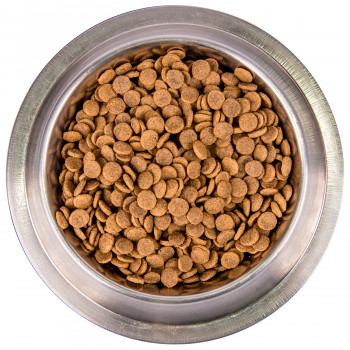 Monge Cat BWild GRAIN FREE беззерновой корм из лосося для взрослых кошек 1,5 кг