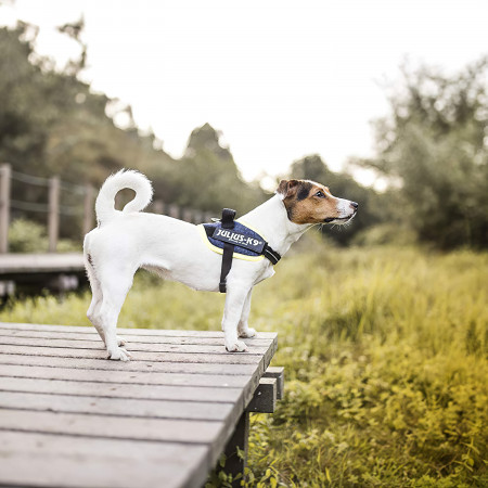 JULIUS-K9 шлейка для собак IDC®-Powerharness S/Mini (49-67см/ 7-15кг), джинса-зеленый неон