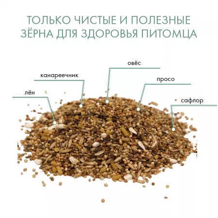 FIORY корм для волнистых попугаев Pappagallini 1 кг