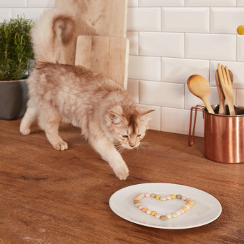 GIMCAT Витамины для кошек с кошачьей мятой МинтТипс 200 г