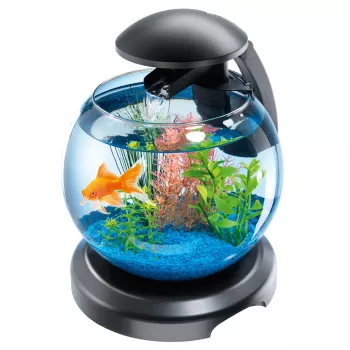 Tetra Cascade Globe аквариумный комплекс черный 6,8 л