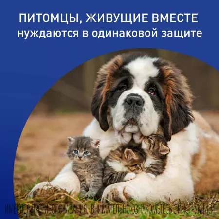 BI Фронтлайн Спрей 250 мл