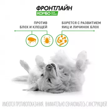 BI Фронтлайн Комбо капли для собак  для защиты от клещей и блох 2-10 кг, S пипетка 0,67 мл
