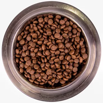 Monge Dog BWild LOW GRAIN Puppy & junior низкозерновой корм из мяса оленя для щенков всех пород 2,5 кг