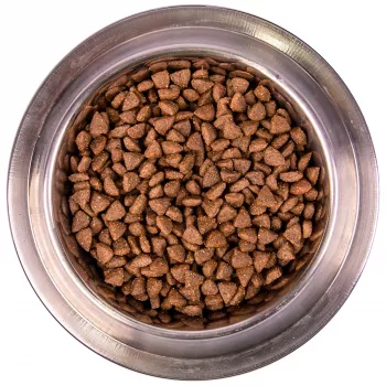 Monge Dog Monoprotein Mini корм для взрослых собак мелких пород ягненок с рисом и картофелем 7,5 кг