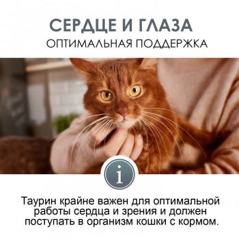 GIMCAT EXPERT LINE Паста для кошек Таурин Экстра 50 г