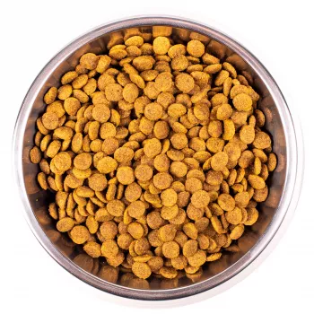 Monge Cat Monoprotein Sterilised корм для стерилизованных кошек с форелью 10 кг