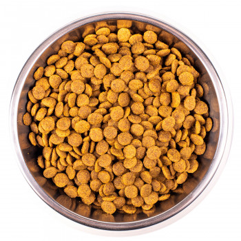 Monge Cat Monoprotein Sterilised Trout корм для стерилизованных кошек с форелью 1,5 кг