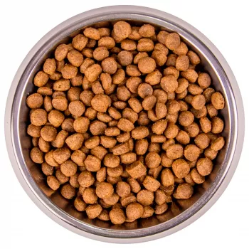 Monge Cat BWild GRAIN FREE беззерновой корм из мяса буйвола для крупных кошек всех возрастов 1,5 кг