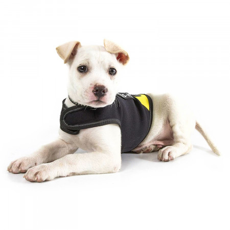 JULIUS-K9 жилет для собак Neoprene IDC® S (51-64см / длина 40см), черно-желтый
