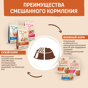 CORE корм из индейки для котят 300 г