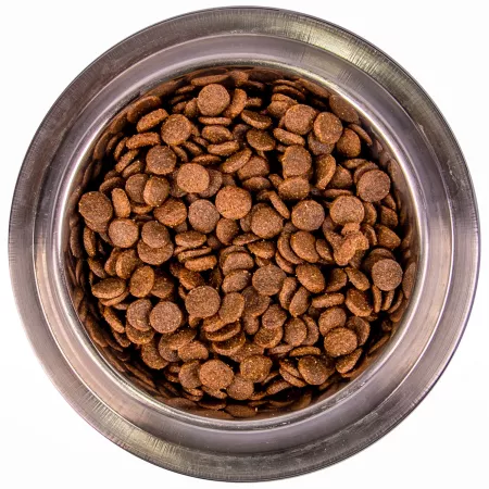 Monge Dog Medium корм для щенков средних пород 800г