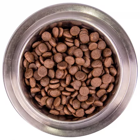 Monge Dog BWild GRAIN FREE беззерновой корм из мяса утки с картофелем для взрослых собак всех пород 12 кг