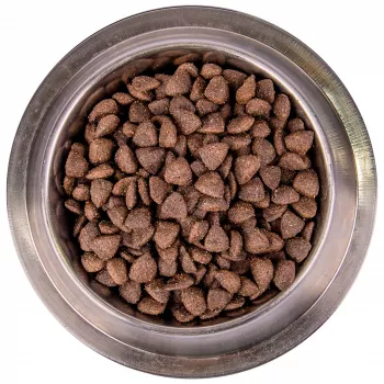 Monge Dog BWild LOW GRAIN низкозерновой корм из мяса оленя для взрослых собак всех пород 12 кг