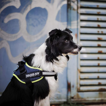 JULIUS-K9 шлейка для собак IDC®-Powerharness 1 (63-85см/ 23-30кг), джинса-зеленый неон